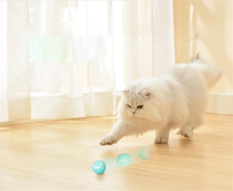 Smart Electric Rolling Ball For Cats.