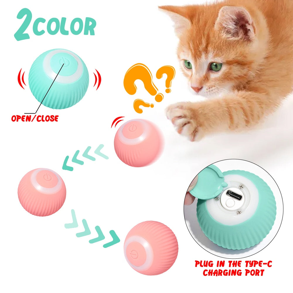 Smart Electric Rolling Ball For Cats.