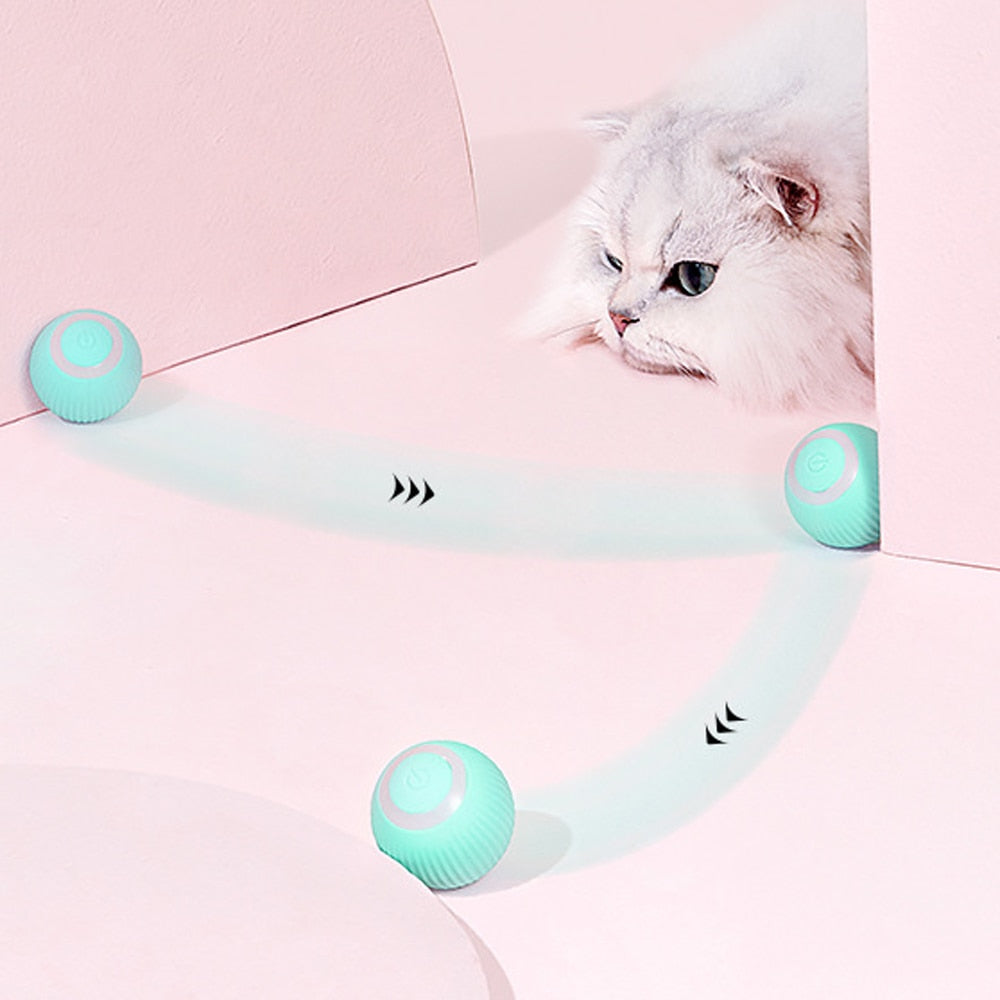 Smart Electric Rolling Ball For Cats.